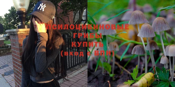 спиды Майский