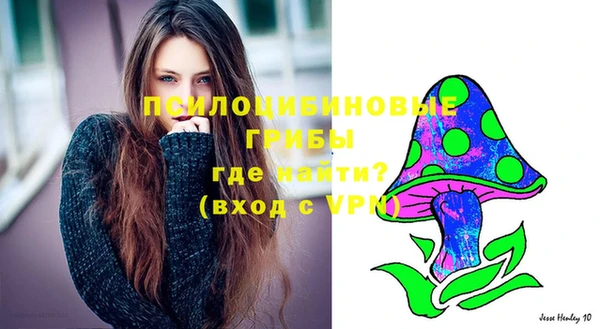 спиды Майский