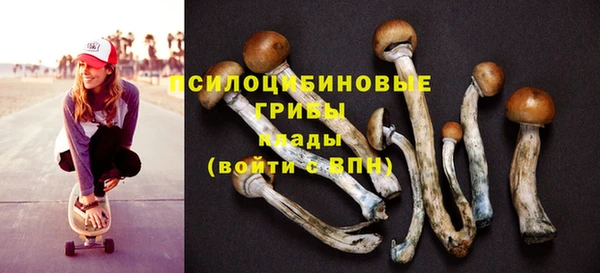 не бодяженный Магас