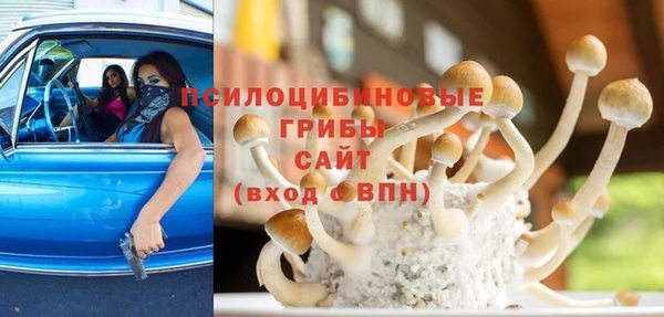 спиды Майский