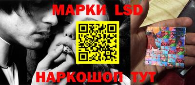 индика Гай