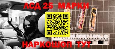 кокс Гатчина