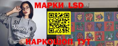 кокс Гатчина