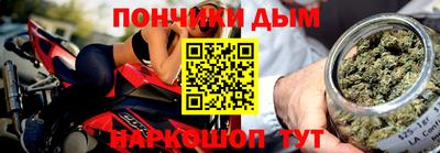 индика Гай