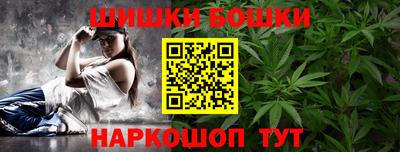 индика Гай
