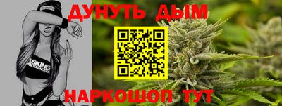 кокс Гатчина