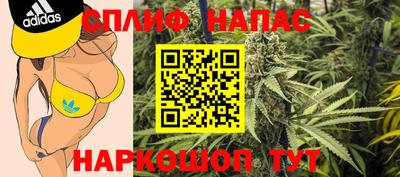 кокс Гатчина