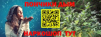 кокс Гатчина
