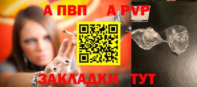 кокс Гатчина