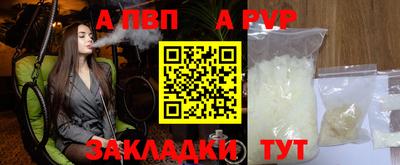 индика Гай