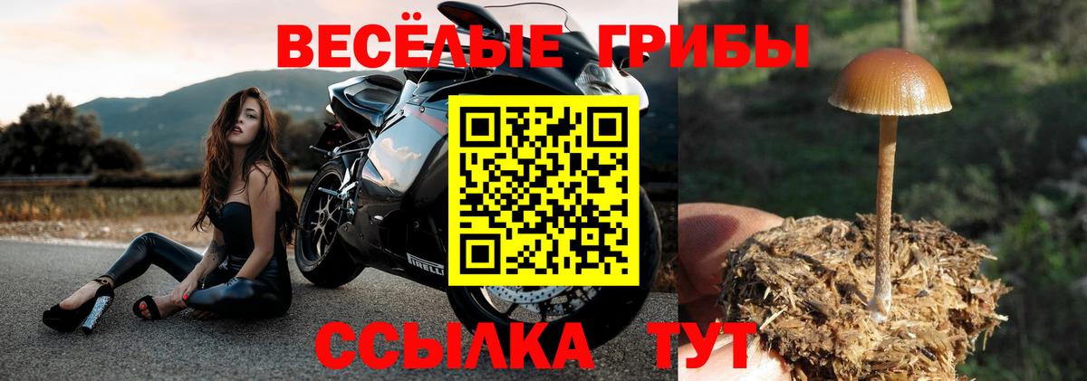сколько стоит  Вход с VPN  Галлюциногенные грибы прущие грибы  Комсомольск-на-Амуре  Галлюциногенные грибы прущие грибы 